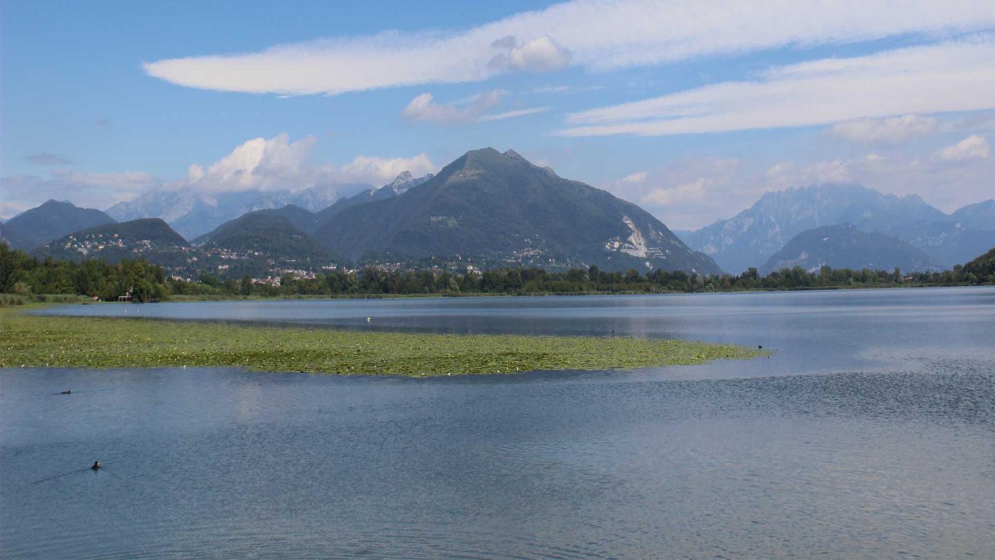 Il pontile in legno sul lago con i canneti e il parco circostante