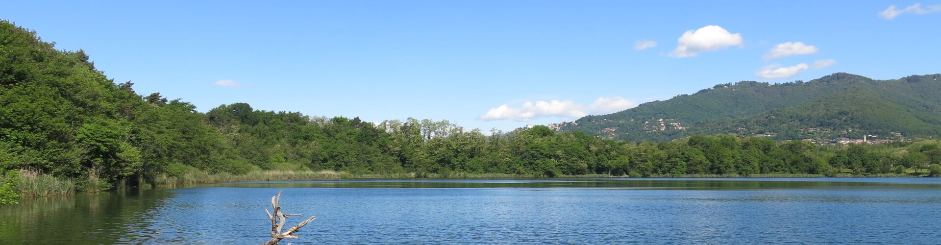 Una veduta dei boschi protetti che collegano il territorio di Capiago alle sponde del lago