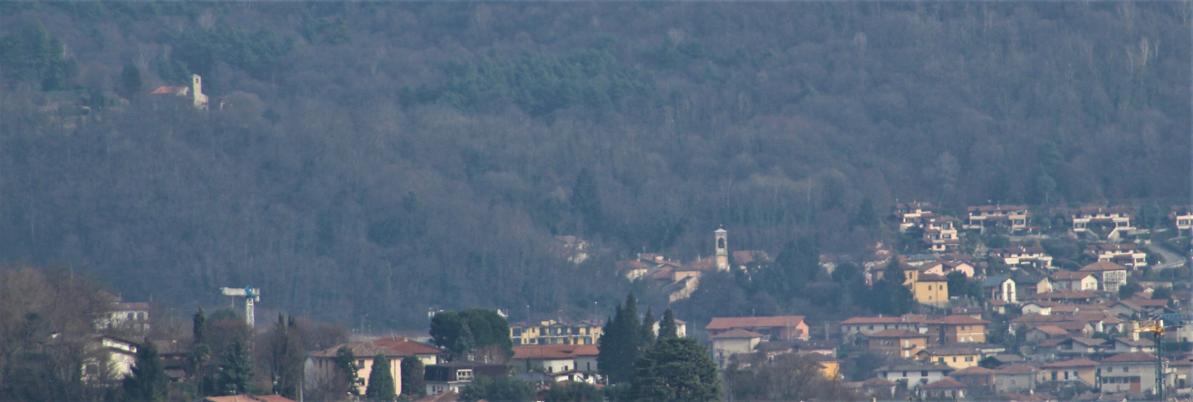 Una panoramica delle colline coltivate che si affacciano verso la Svizzera