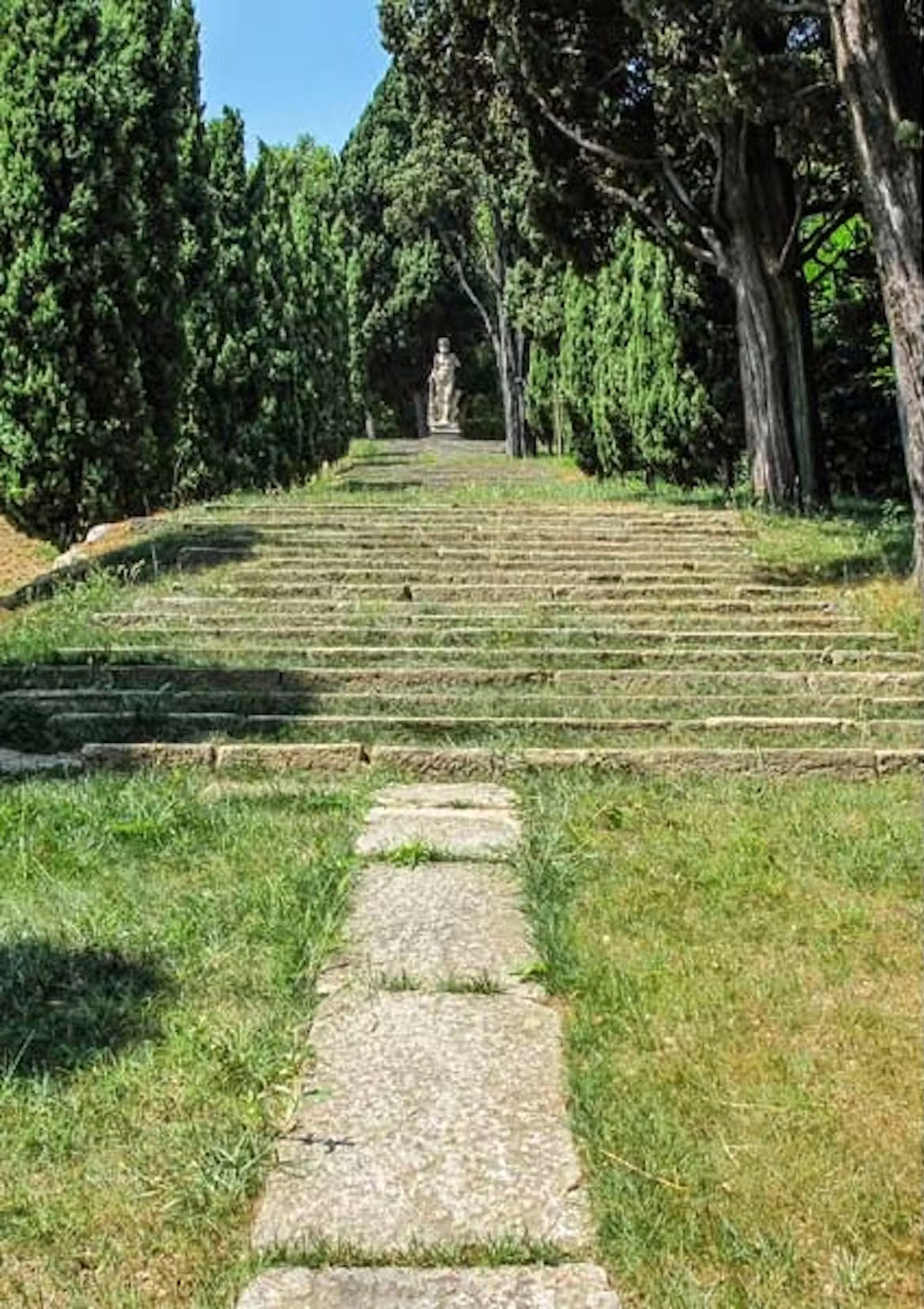 Il monumentale Viale dei Cipressi