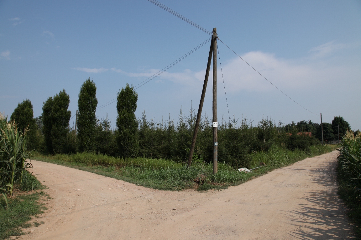 l percorso ciclabile e pedonale immerso nei boschi del Parco del Lura
