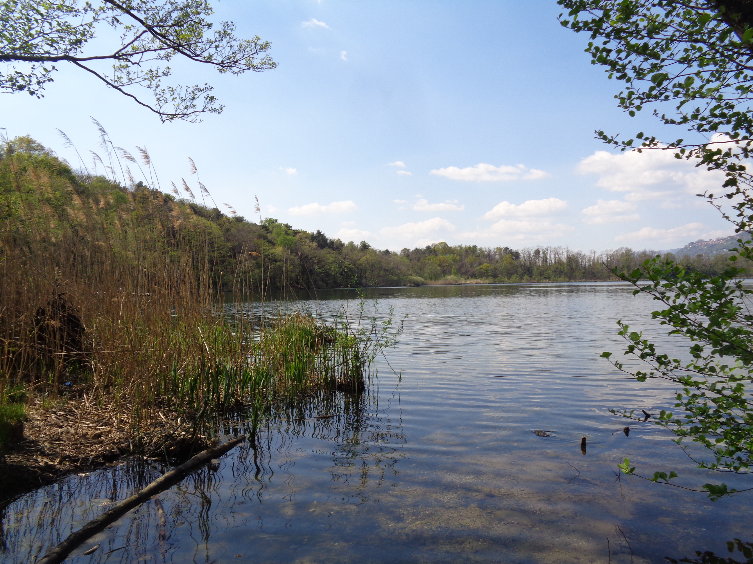 Uno scorcio delle acque tranquille del Lago di Montorfano circondato dai boschi