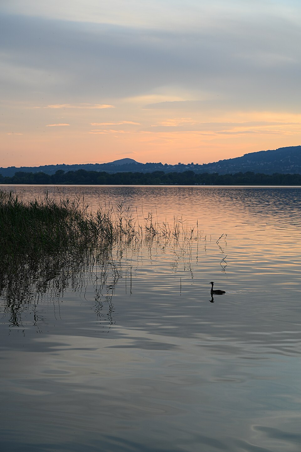 Il pittoresco Lago di Pusiano o una delle antiche ville patrizie della zona alta della città