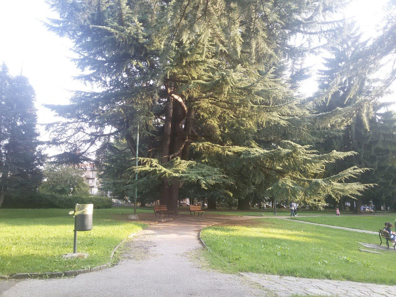 Il rigoglioso Parco Pubblico del Burghè con i suoi viali alberati
