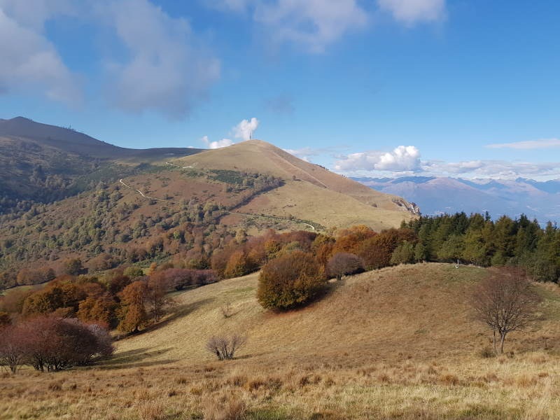Una panoramica autunnale dei boschi di Sormano